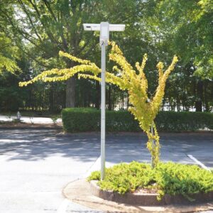 Solar LED Pathway And Street Light - 4000+ Lumens - Image 6